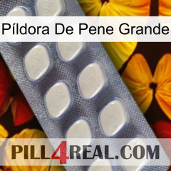 Píldora De Pene Grande 08